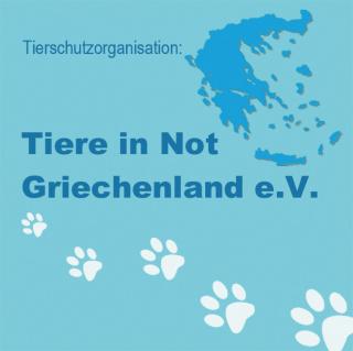 Hundetransportboxen als Spenden gesucht!