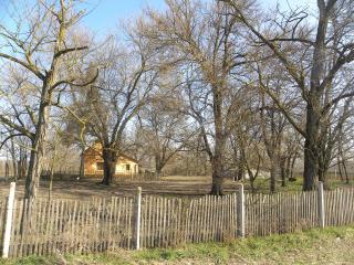 In Ungarn Kiskunmajsa 80 m2 Bauernhaus mit 4,5 ha Land