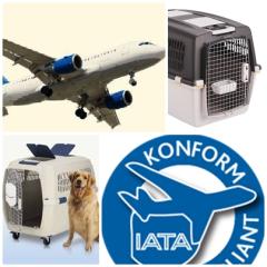 Flying Petbox- transport box rental!