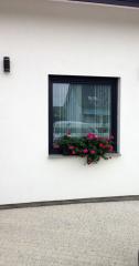 Günstige Kunststofffenster - direkt vom Hersteller - VEKA WINKHAUS