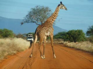 Kenia Rundreise nur für Frauen, Lady Safaris