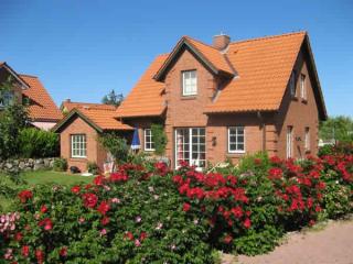 Ostsee-Ferienhaus Ostseetraum mit Kamin, Sauna und WLAN in Schönberg-Brasilien