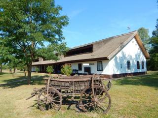 Obj.1223 - BAUERNHAUS BAUERNHOF GEHÖFT LANDHAUS HAUS IN UNGARN ZU VERKAUFEN