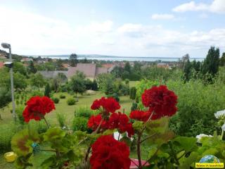 Einfamilienhaus mit Seeblick Nr. 1355