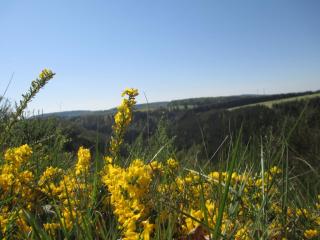 Mai 2024 Eifel-Urlaub 2 Fewo frei