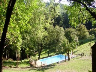 Landhof mit Pool im Nationalpark der Casener Wälder Arezzo, Toskana