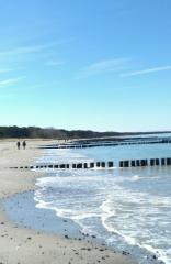 Insel Rügen - strandnahe Ferienhäuser  - freie Zeiten im Sommerurlaub 