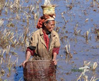 Madagaskar Frauenreise - Von und für Frauen 2021